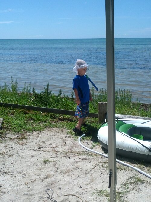 IMG_20130614_105503.jpg image