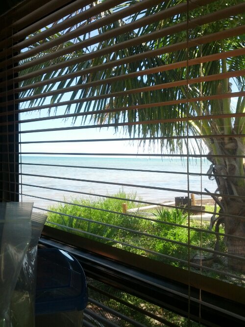 IMG_20130614_150018.jpg image