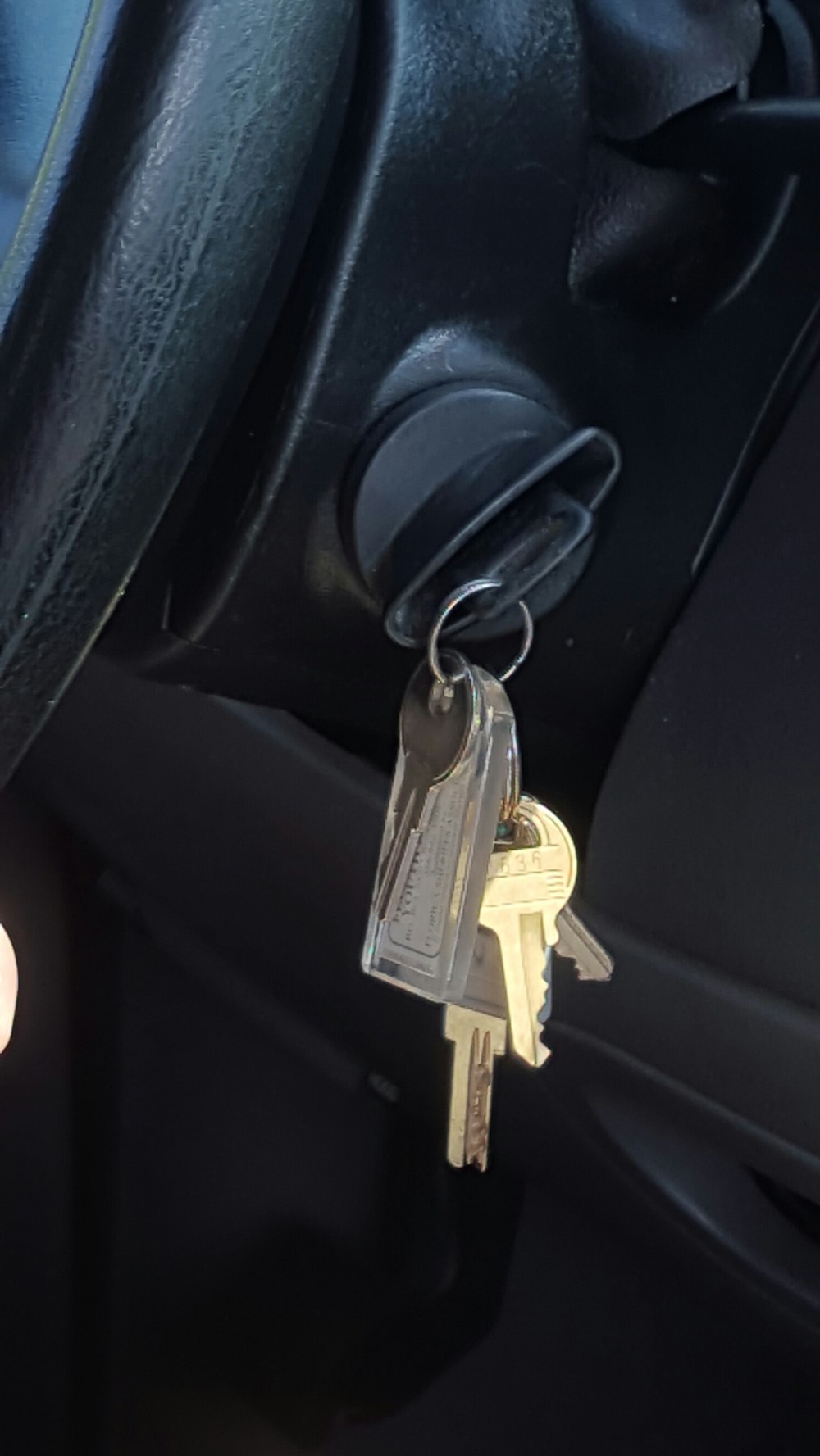 wp-1433600861565 image